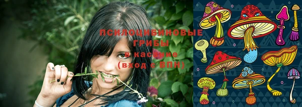 шишки Балабаново